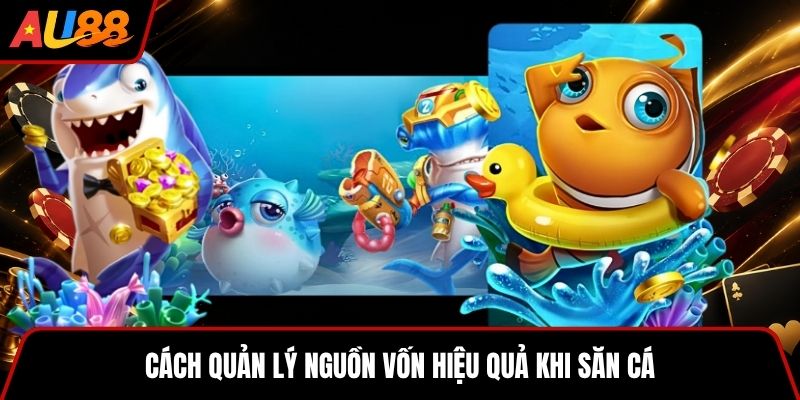 Cách quản lý nguồn vốn hiệu quả khi săn cá