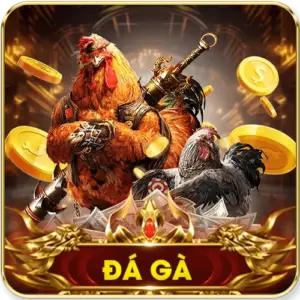 Đá Gà AU88